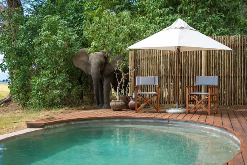 Mana Pools Safaris